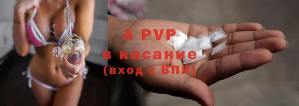 стафф Нефтегорск