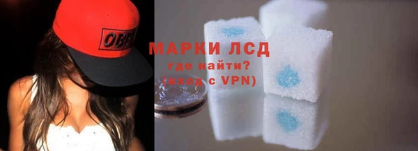 стафф Нефтегорск