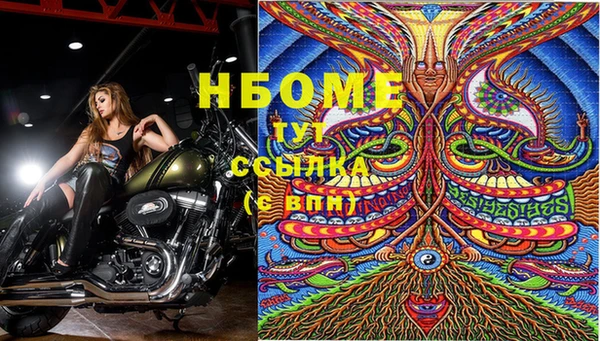 стафф Нефтегорск